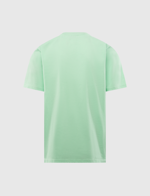 Back view of mint green men's short sleeve streetwear t-shirt on white background