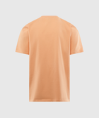 Back view of plain light pink men's short sleeve streetwear t-shirt on white background