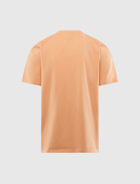 Back view of plain light pink men's short sleeve streetwear t-shirt on white background