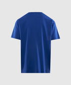 Back view of a plain blue men's short sleeve streetwear t-shirt on white background