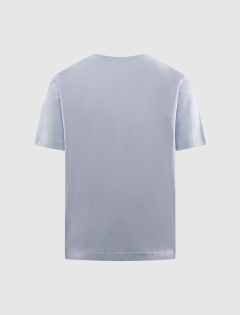 Back view of light grey men's short sleeve streetwear t-shirt on plain background