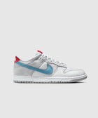 Low-top sneaker in silver with blue swoosh, red heel tab, and white sole on a plain background.